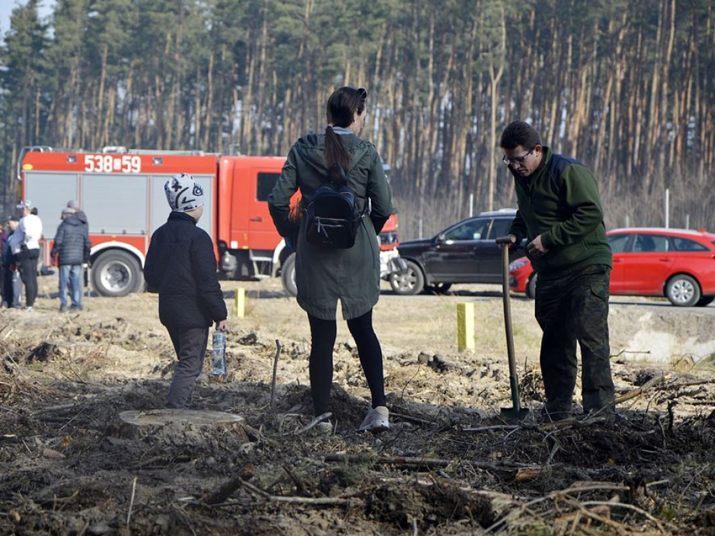 Sadzą las. Mają zapał do pracy! [ZDJĘCIA]
