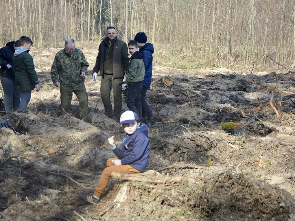 Sadzą las. Mają zapał do pracy! [ZDJĘCIA]