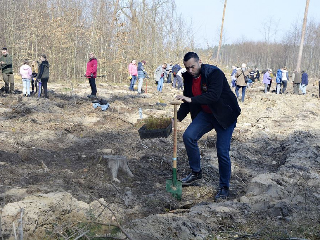 Sadzą las. Mają zapał do pracy! [ZDJĘCIA]
