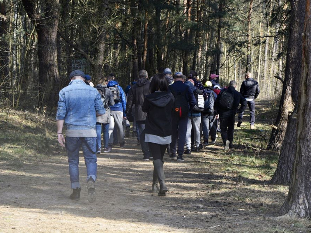 Sadzą las. Mają zapał do pracy! [ZDJĘCIA]