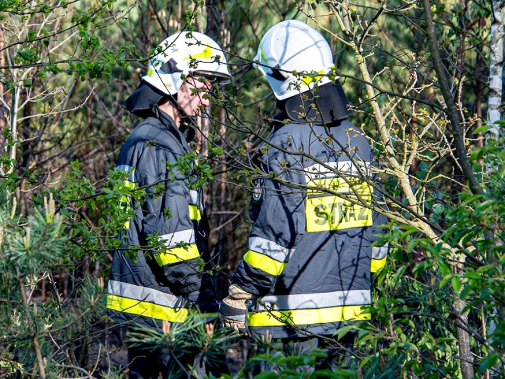 Pożar lasu. W akcji dwa samoloty