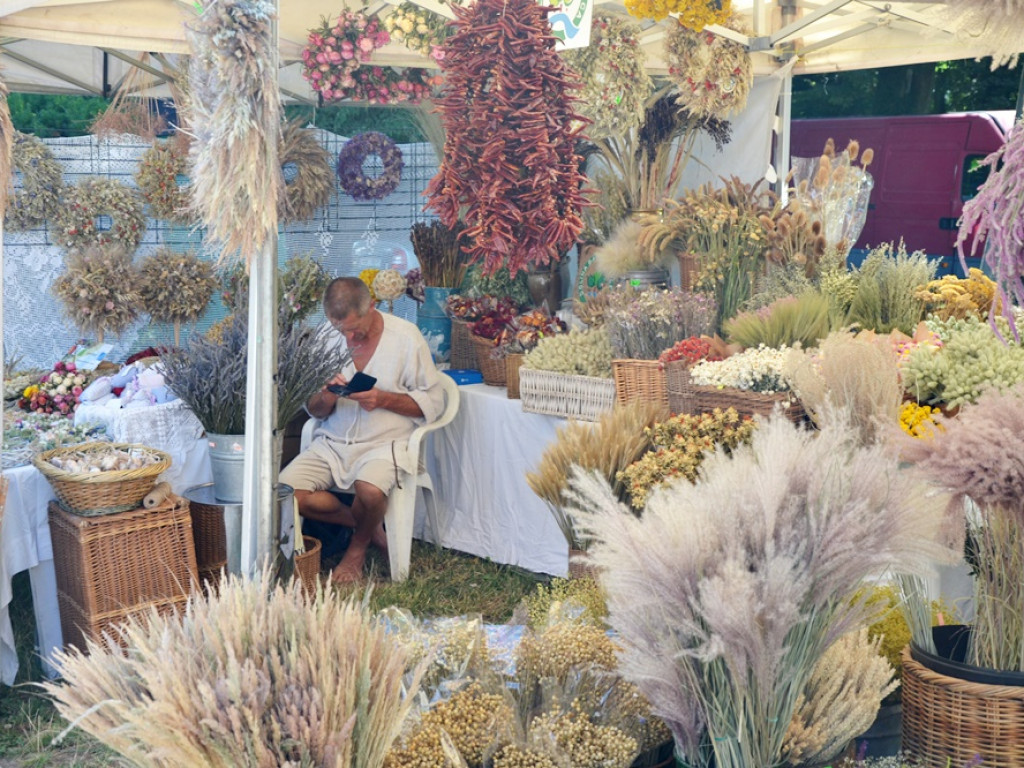 Jarmark Kupiecki w Gaworzycach [FOTO]