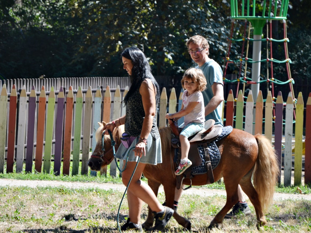 Jarmark Kupiecki w Gaworzycach [FOTO]