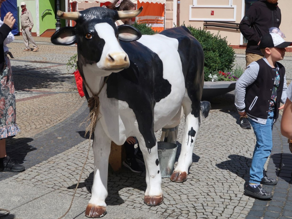 Jarmark św. Sebastiana w Polkowicach [FOTO]