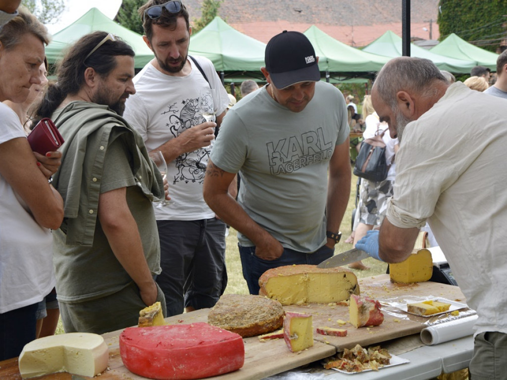 Winiarze z regionu chcą zmienić kulturę picia alkoholu [FOTO]