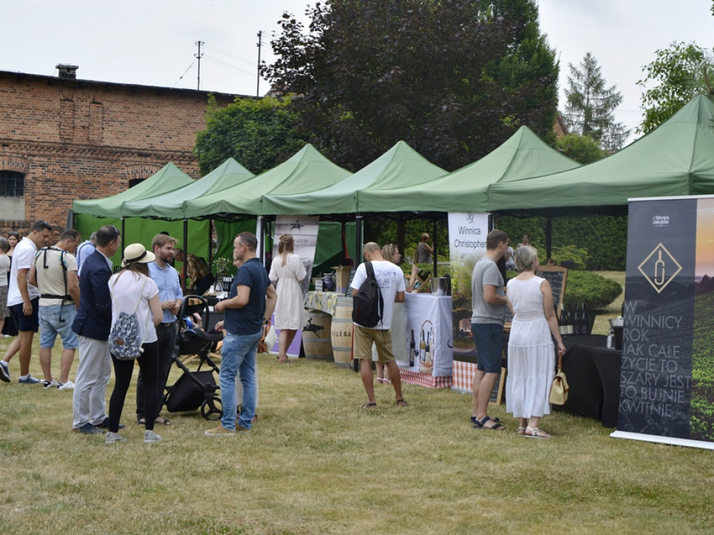 Winiarze z regionu chcą zmienić kulturę picia alkoholu [FOTO]