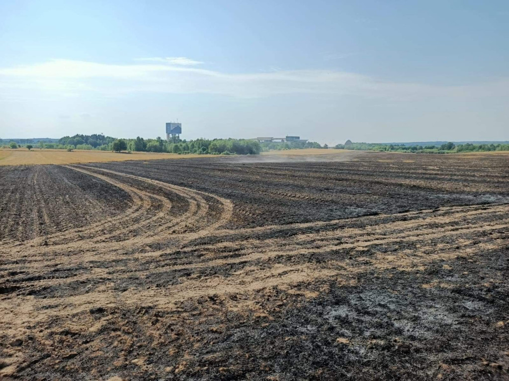 Pożar ścierniska. Ogień przeniósł się na las