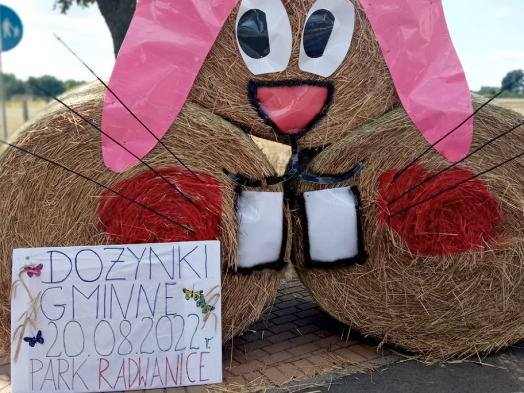 Zbliżają się dożynki. Praca wre