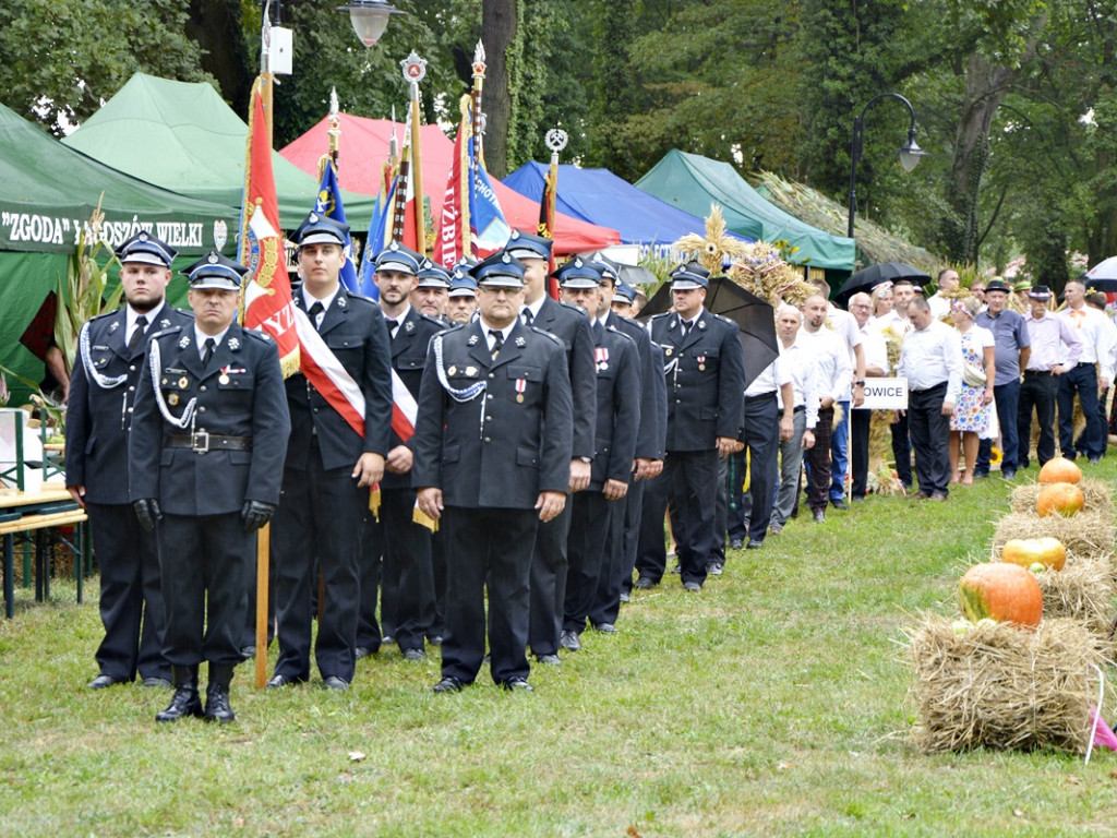 Dożynki w Radwanicach [Zdjęcia]