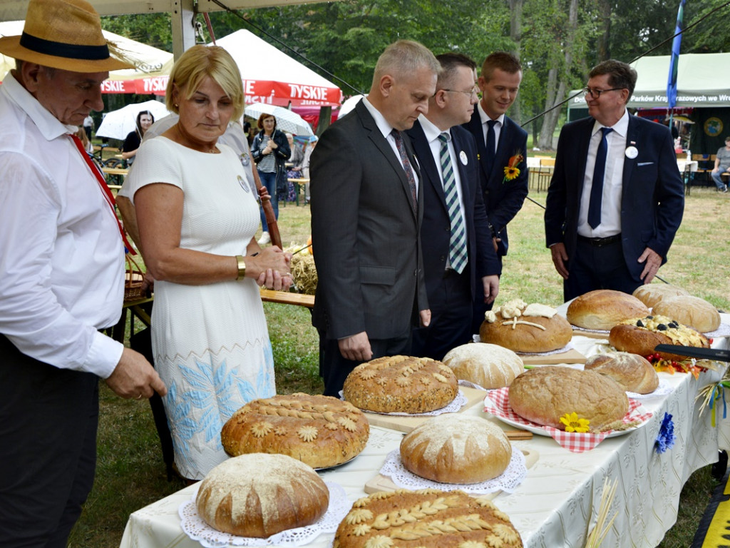 Dożynki w Radwanicach [Zdjęcia]