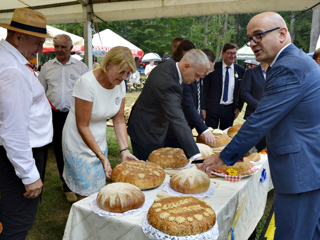 Dożynki w Radwanicach [Zdjęcia]