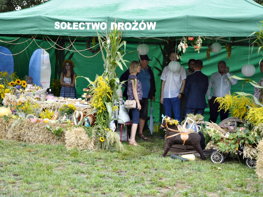 Dożynki w Radwanicach [Zdjęcia]