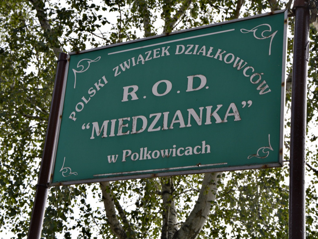 Dożynki u działkowców z 
