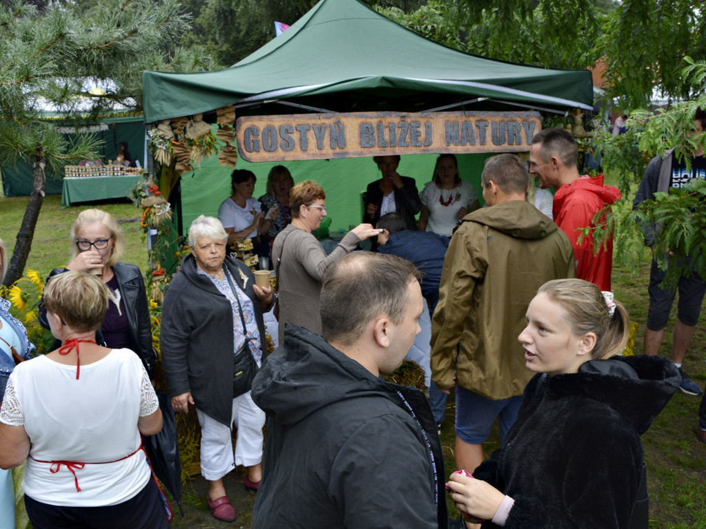 Dożynki w Dalkowie [Zdjęcia]