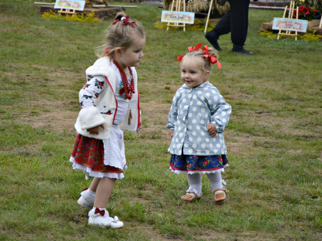 Dożynki w Dalkowie [Zdjęcia]