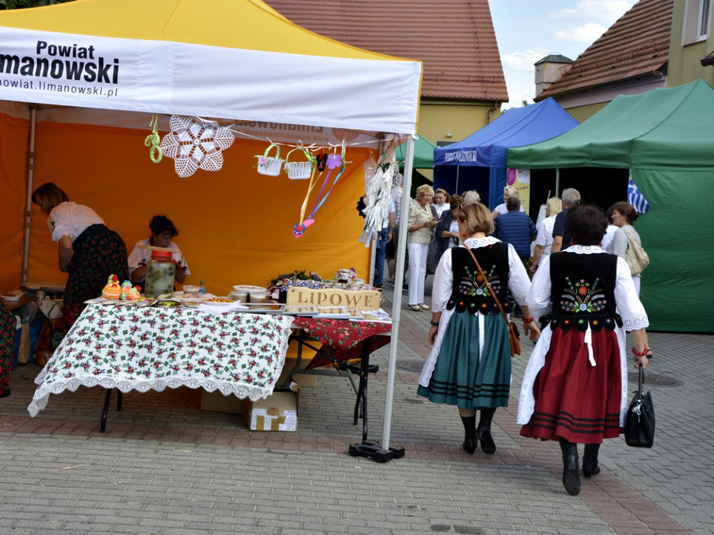 Dożynki powiatowe w Grodowcu [Zdjęcia]