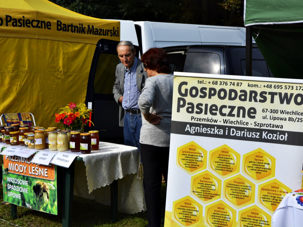 Święto Miodu i Wina [Zdjęcia]