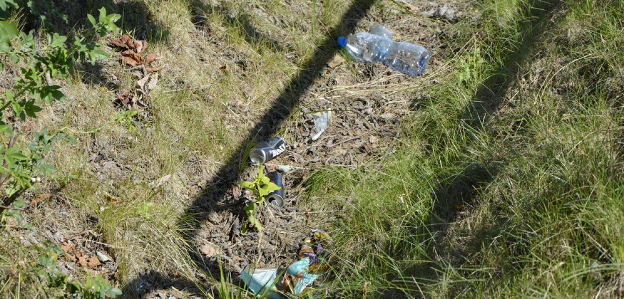 Nie sprzątają po psach, wyrzucają pety