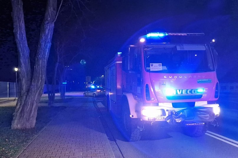 Uderzyła w drzewo [Zdjęcia]