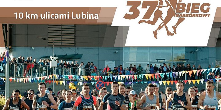 KGHM: To będzie 37. edycja Biegu Barbórkowego-29432