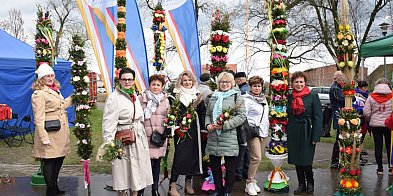 Największe palmy są na kiermaszu w Grębocicach-30730